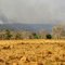 118.カンポセラードの野火　Field fire in Campos Cerrados
