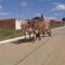 Carro de boi na cidade de Ninheira, MG