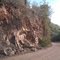 Barreira de Pedras - Pereiro - colocando novo asfalto.