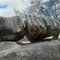 Panoramica da Pedra da Paciencia em Itabi-SE