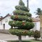 Árvore de Natal de Vera Cruz